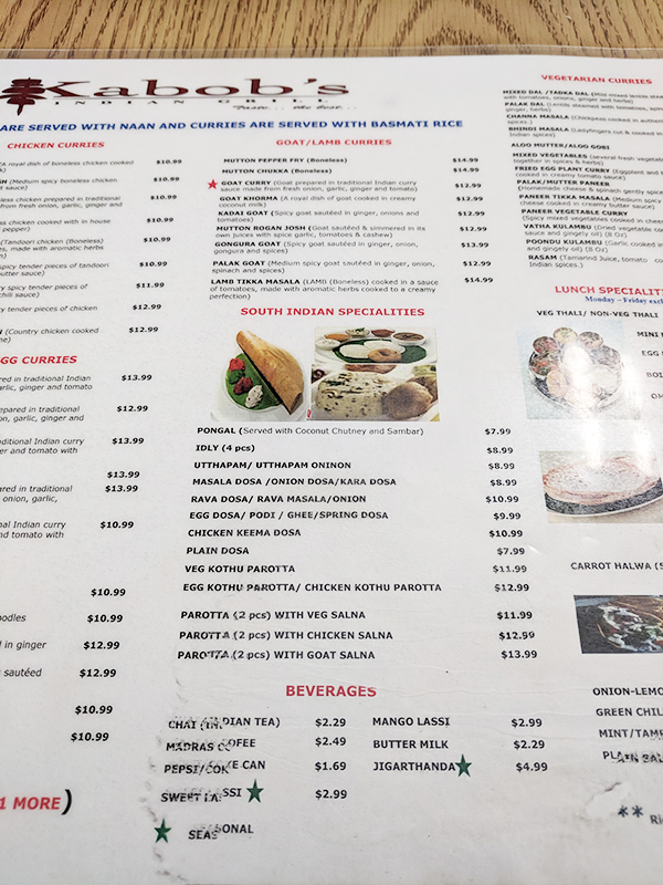 The Lunch Thali at Kabob’s (Bloomington, MN) My Annoying Opinions