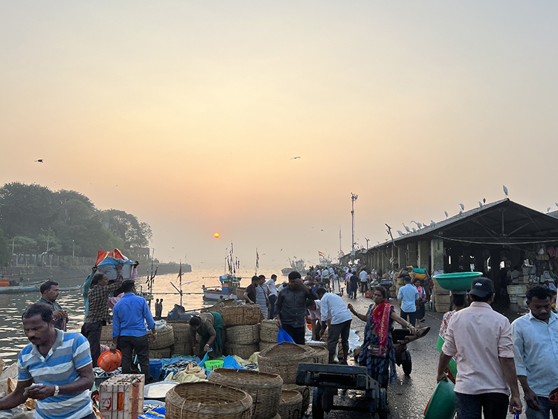 Sassoon Dock Fish Market A Bit Brighter My Annoying Opinions